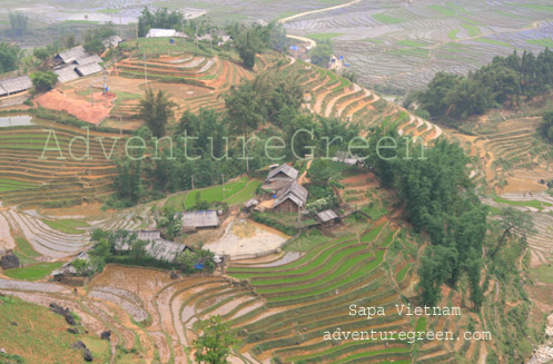 Rice terraces at Sapa, Vietnam