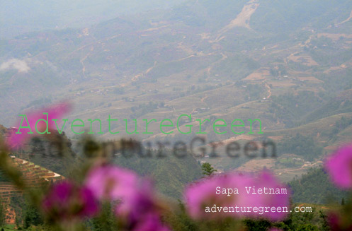 Muong Hoa Valley, Sapa, Vietnam