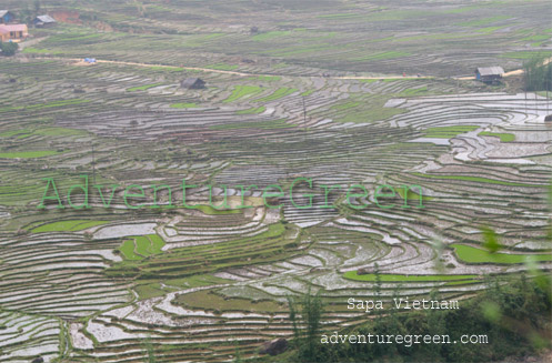 Rice terraces at Ta Van Village, Sapa