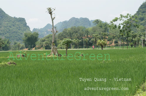 Son Duong, Tuyen Quang Vietnam