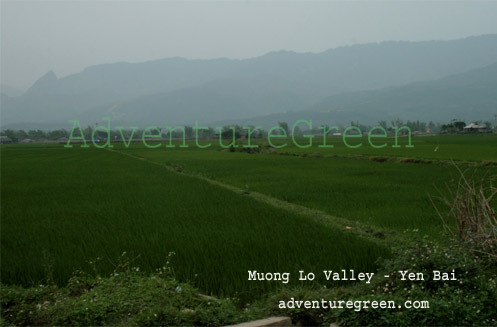 Muong Lo Valley, Yen Bai, Vietnam