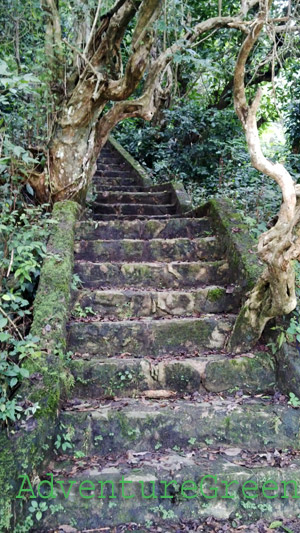 Steep steps at the Bao Dong Mountain