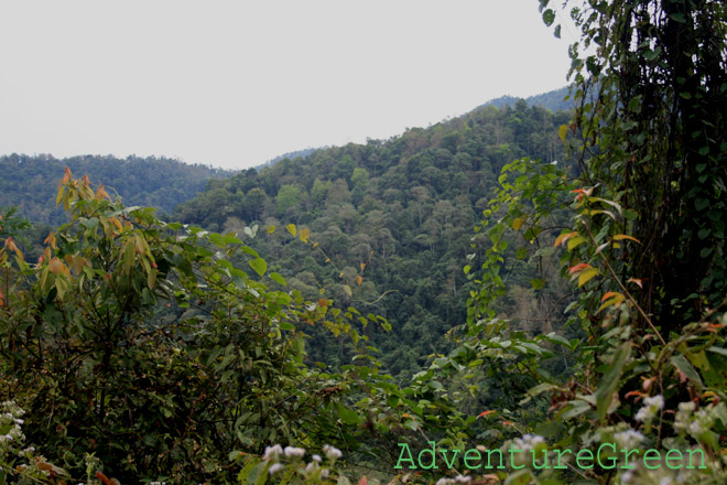 Mountains on the trek at Dong Khe