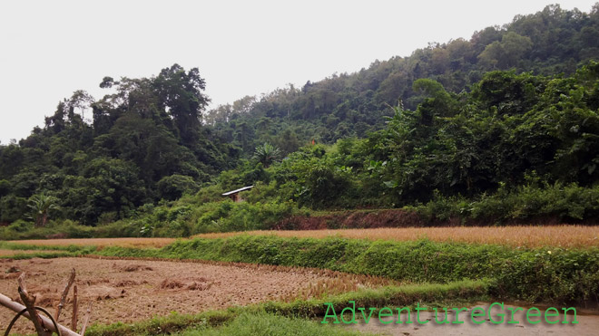 A part of the valley on the trek