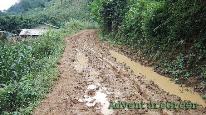 A muddy path in the valley