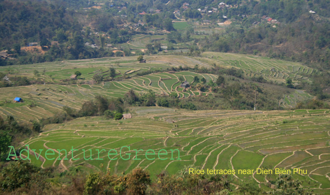 Rice terraces near Dien Bien Phu City