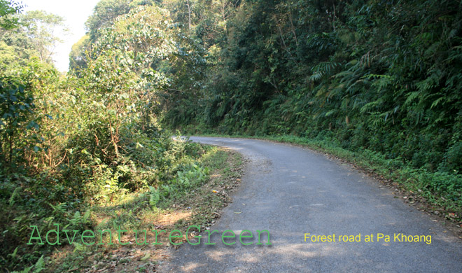 Back road in the forest at Pa Khoang Lake
