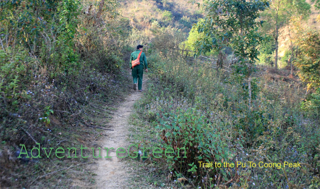 Trail to Pu To Coong Peak