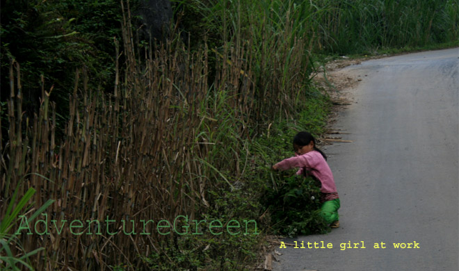 Girl at work at Ho Quang Phin, Dong Van