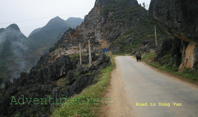 Road to Dong Van, Thai Phin Tung, Dong Van