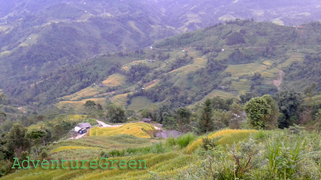 Nature around Chieu Lau Thi