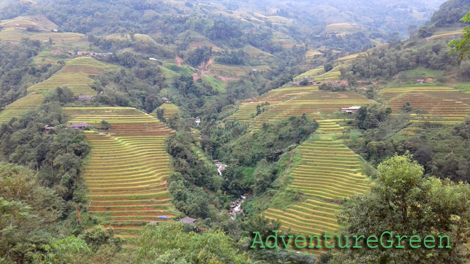 Beautiful mountain slopes at Ho Thau, Hoang Su Phi, Ha Giang, Vietnam