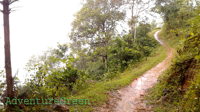 A trail on a hillside with sweeping views of the surroundings