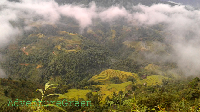 Scenic nature on the trek at Hoang Su Phi