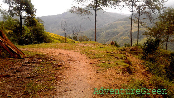 A relaxing hiking trail at Hoang Su Phi
