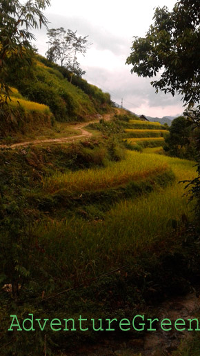 A scenic trail at Nam Son, Hoang Su Phi