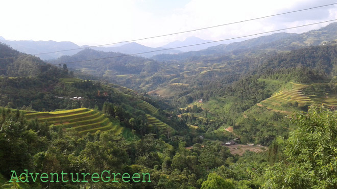 Magnificent mountainsides at Nam Ty, Hoang Su Phi