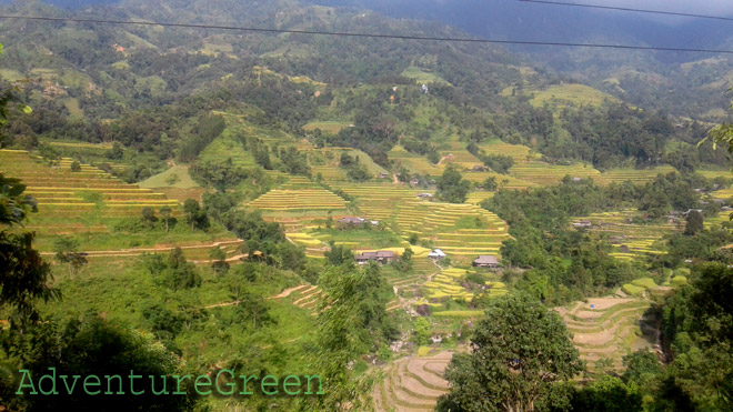 Marvelous golden rice terraces at Hoang Su Phi, Ha Giang