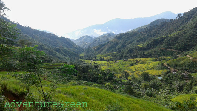 Fresh mountainscape at Thong Nguyen, Hoang Su Phi