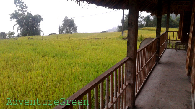 The jaw-dropping landscape in front of the homestay