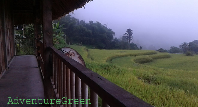 Amazing scenery in front of the homestay at Thong Nguyen, Hoang Su Phi