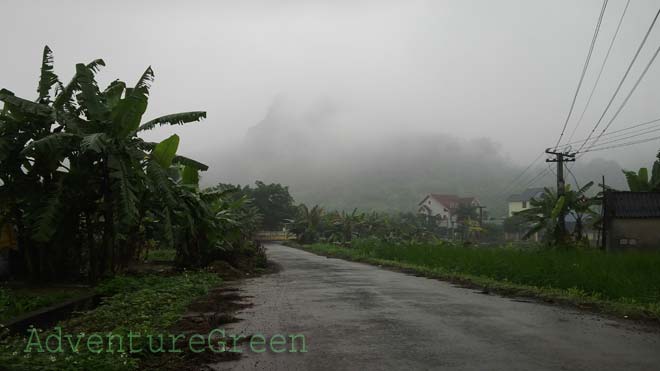 Countryside in Hai Phong (northern Vietnam) on a rainy day in March