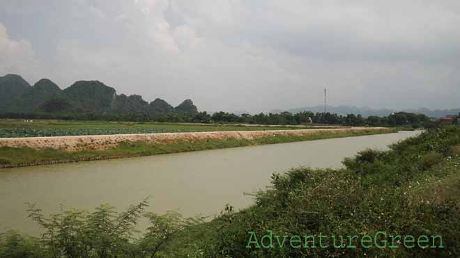 Idyllic countryside at My Duc, Ha Tay (Hanoi now) in a July heat strike