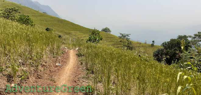 A trekking trail amid rice terraces at Hang Kia