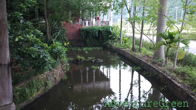 A garden with a pond