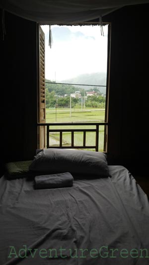 A window opens onto a rice field