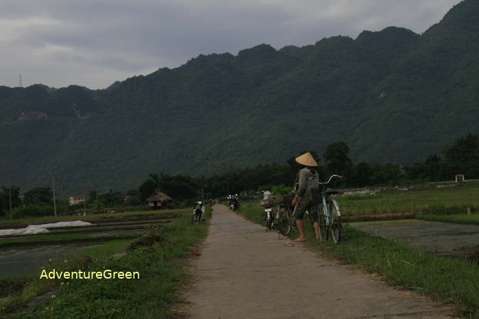 Path amid rice paddies at the Mai Chau Valley
