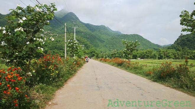 A road through rice fields at the Lac Village, Mai Chau, Hoa Binh