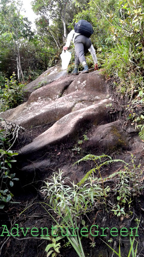 a steep rocky path followed by another and another