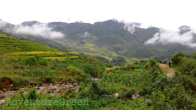 The rice terraces which took my breath away!