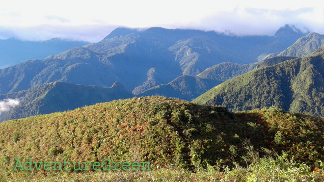 Untouched nature near Bach Moc Luong Tu