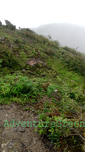 Landscape at 2,800m