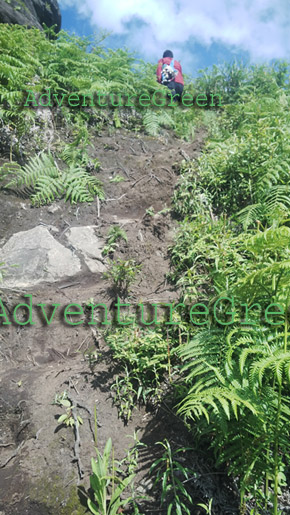 Steep path to the summit of Lao Than Mountain in Lao Cai Vietnam