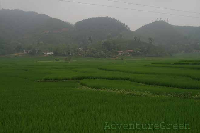 Tan Son Phu Tho on a wet day in April