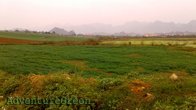 Moc Chau Farms and Moc Chau Farm Town