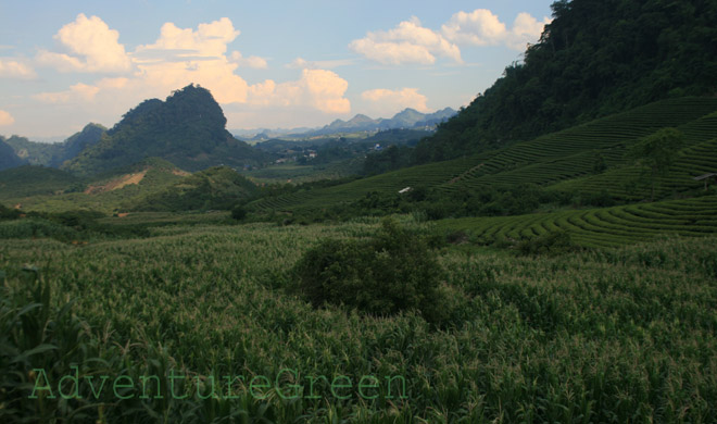 Breathtaking nature at Moc Chau