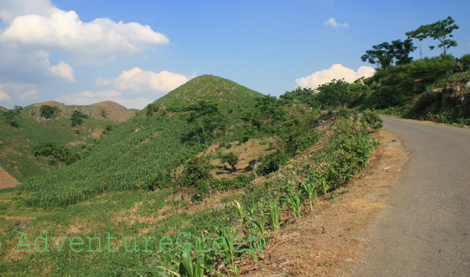 A scenic cycling road amid green tea plantations in the Moc Chau Plateau, Son La Province, Vietnam