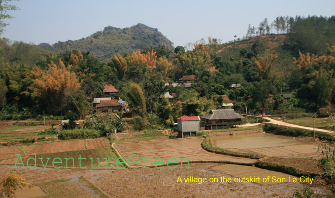 Mong Village, Son La