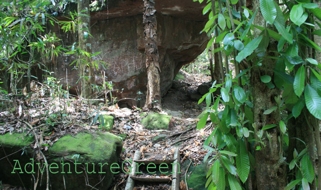 The forest at Pha Luong