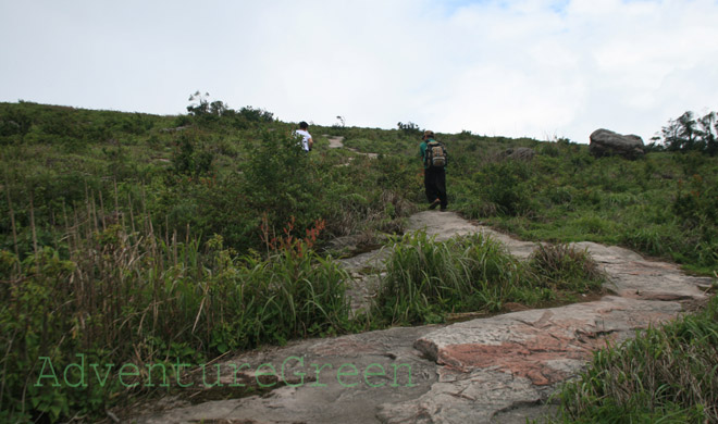 The trail on the summit of Mount Pha Luong