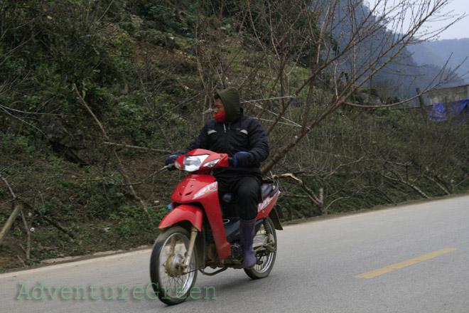 A man carrying a peach branch to the market