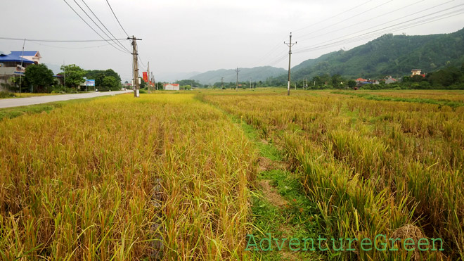 Countryside at Vo Nhai, Thai Nguyen