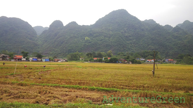Rice fields and mountains at Vo Nhai, Thai Nguyen