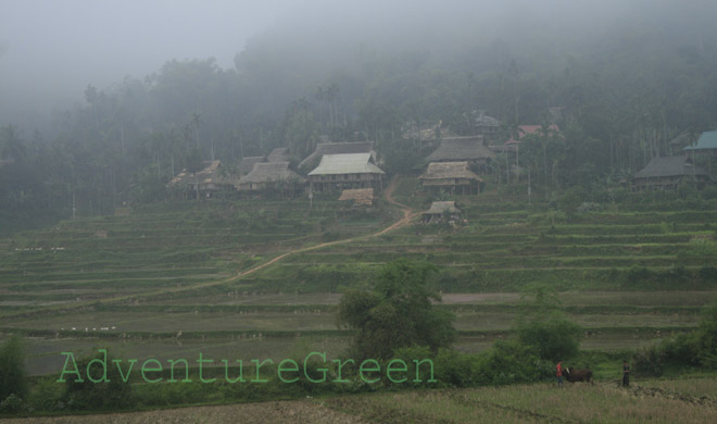 Countryside in Thanh Hoa Province