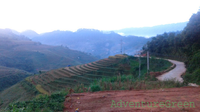 Landscape in front of the homestay in the early morning