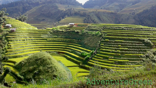 Hillsides carved into amazing rice terraces